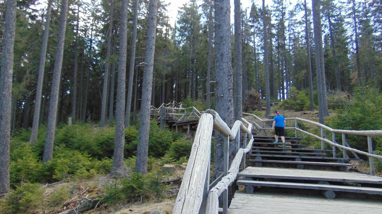 Pod Boubínem Kemp Horní Vltavice